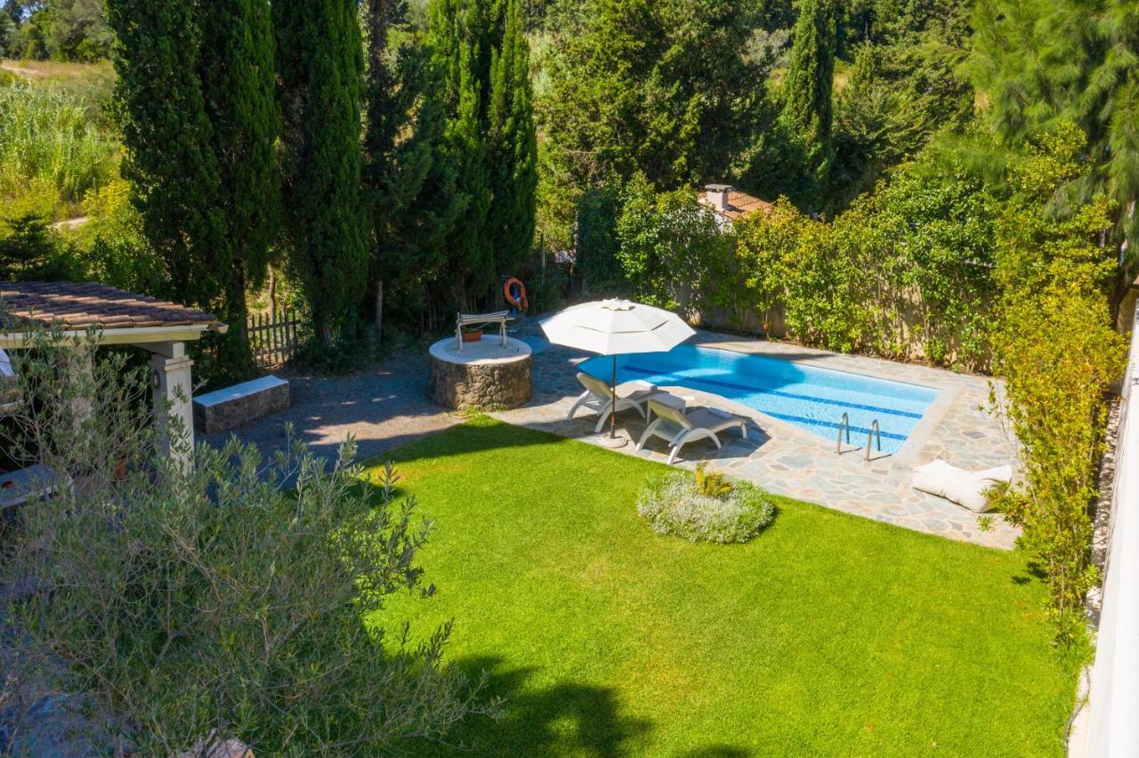 Petrinos Cottage Δαφνίλα Εξωτερικό φωτογραφία