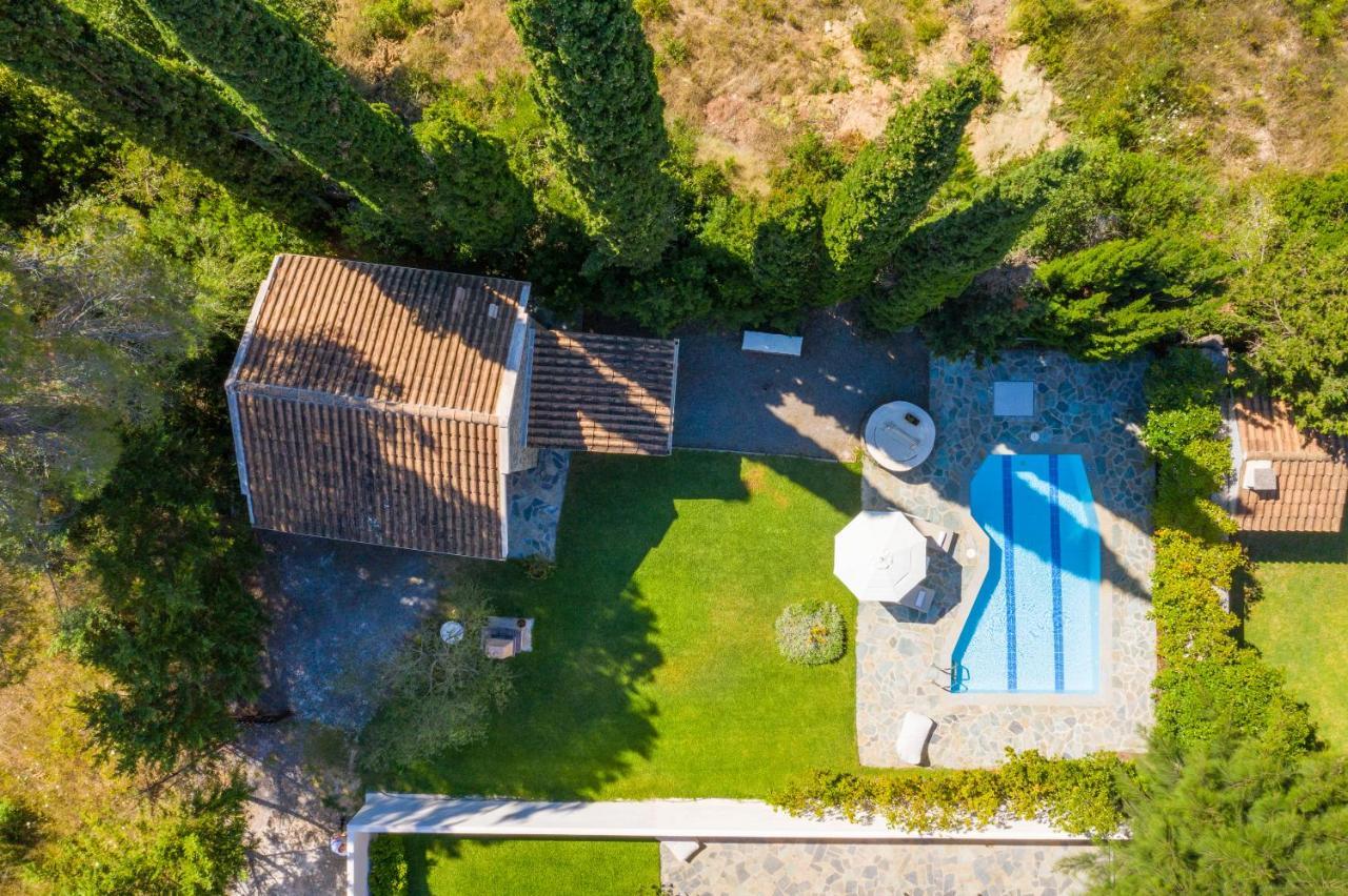 Petrinos Cottage Δαφνίλα Εξωτερικό φωτογραφία